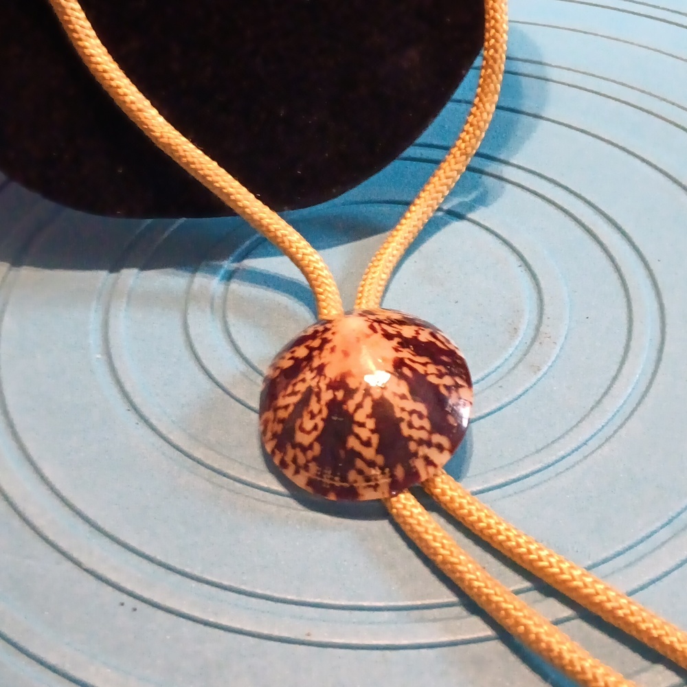 Seashell necktie